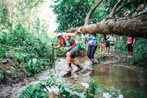 BIB: 
                            <button type="button" onclick="openModal(25517812)" class="btn btn-primary btn-sm float-right btn-popup" data-toggle="modal" data-target=".modal-high-quality">
                        <i class="fas fa-shopping-cart"></i> Add to Cart
                    </button>
                                            <button type="button" onclick="isThisMe(25517812, true)" class="btn btn-success btn-sm float-right btn-popup btn-isme hidden" data-toggle="tooltip" data-placement="bottom" title="นี่คือรูปของคุณใช่ไหม คลิกที่นี่เพื่อเอาเข้าอัลบั้ม">
                        <i class="fas fa-plus"></i> Add to album
                    </button>
                    <button type="button" onclick="isThisMe(25517812, false)" class="btn btn-warning btn-sm float-right btn-popup btn-isnotme hidden">
                        <i class="fas fa-ban"></i> Remove from album
                    </button>